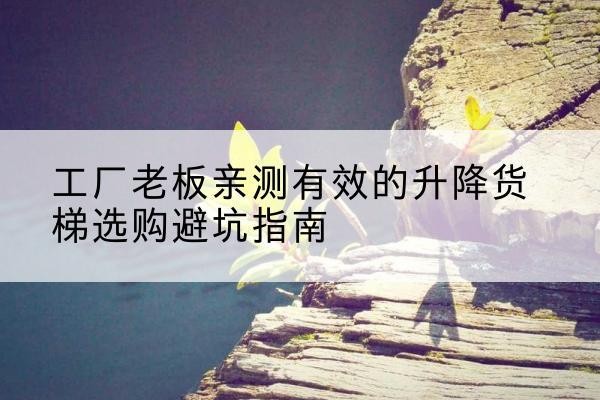 昭化升降货梯怎么选-工厂老板亲测有效的升降货梯选购避坑指南