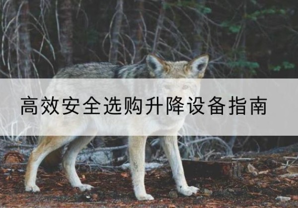 昭化升降货梯厂家推荐-*安全选购升降设备指南