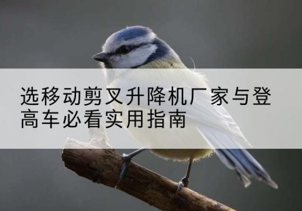 昭化电动升降机厂家-选移动剪叉升降机厂家与登高车必看实用指南