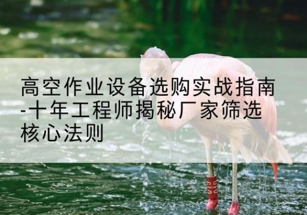 昭化剪叉式升降机厂家-高空作业设备选购实战指南-十年工程师揭秘厂家筛选核心法则