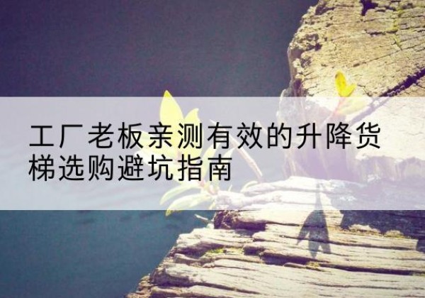 昭化升降货梯怎么选-工厂老板亲测有效的升降货梯选购避坑指南